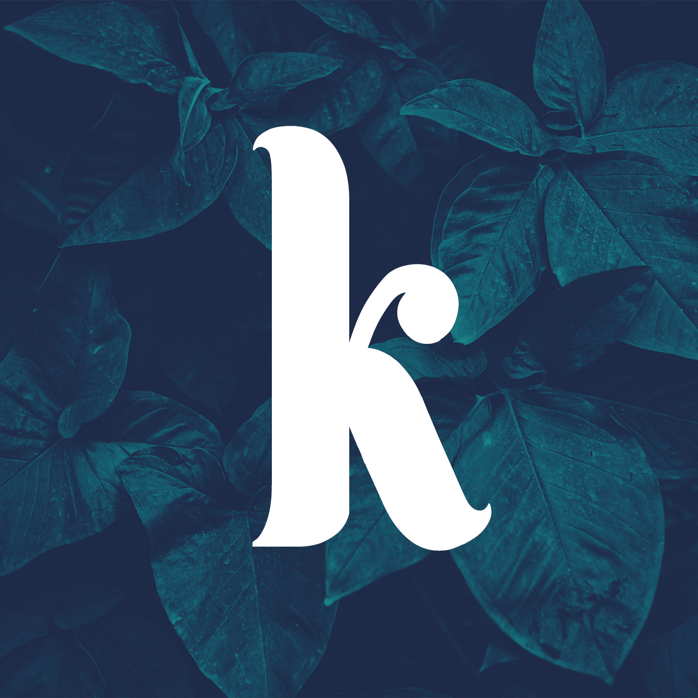 kiwijam-icon-social